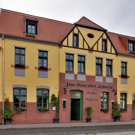 Gasthaus Und Pension "Zum Hauenden Schwein" Woerlitz Luaran gambar