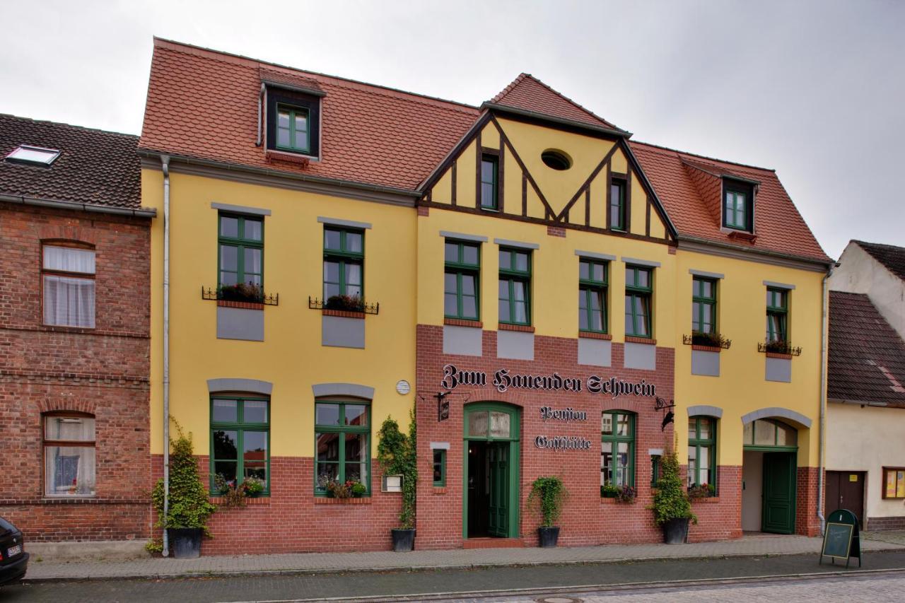 Gasthaus Und Pension "Zum Hauenden Schwein" Woerlitz Luaran gambar